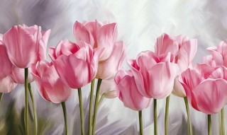  60x100 B1506