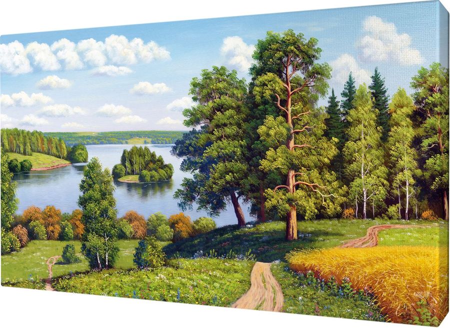 Картина 35 на 50
