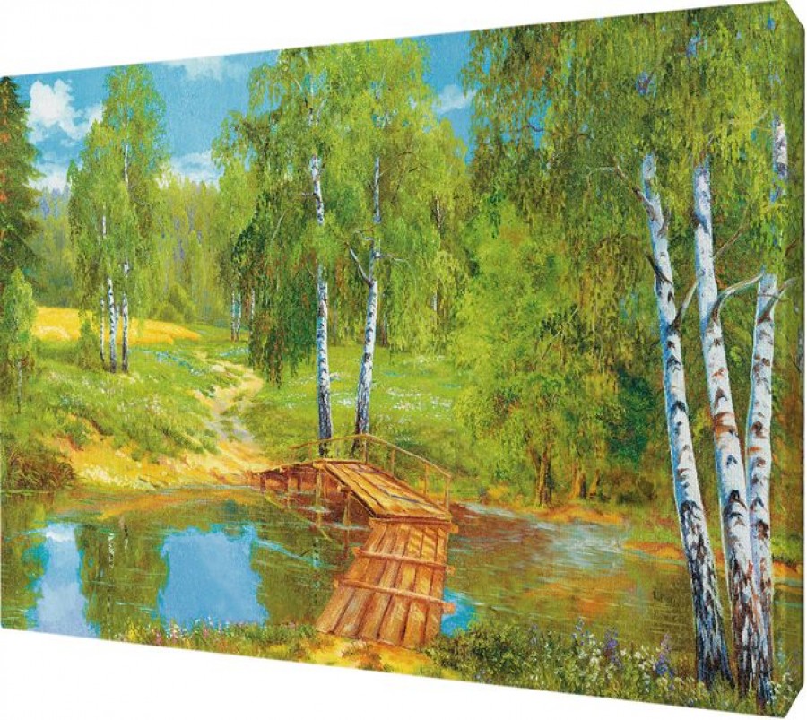 Картина 35 на 50