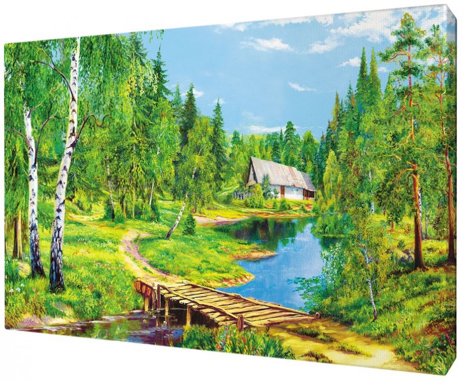 Картина 35 на 50