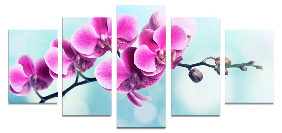 Картина 3 штуки. Картина 50 на 100 горизонтальный. Картина 50 на 50см. Триптих на кухню. Картина 150 на 50.